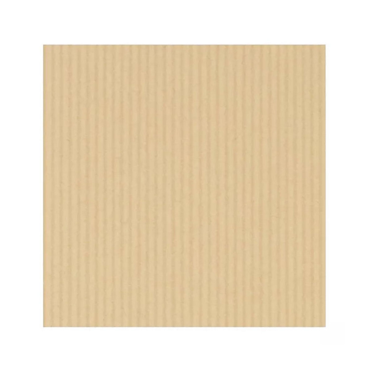 RAJA 25 pochettes en papier kraft - 22,9 x 32,4 cm