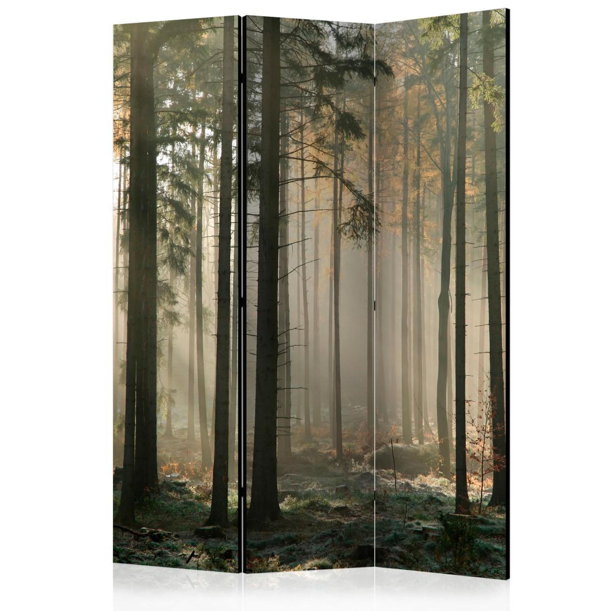 Paris Prix Paravent 3 volets  foggy november morning  135x172cm