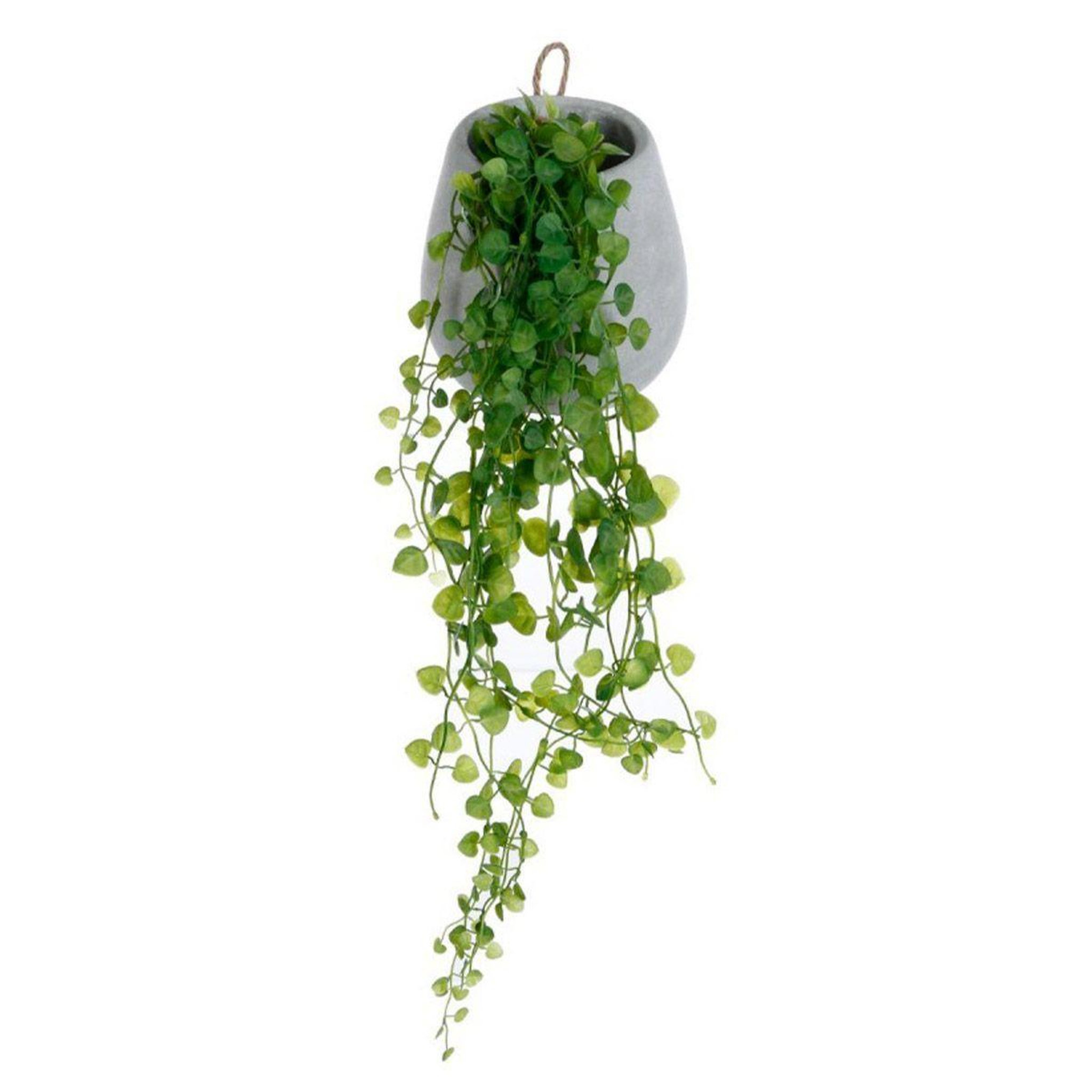 ATMOSPHERA Lierre artificiel en pot  mailo  62cm gris clair