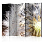 Voir la diapositive 1 : Paris Prix Paravent 5 Volets  Fluffy Dandelion  172x225cm