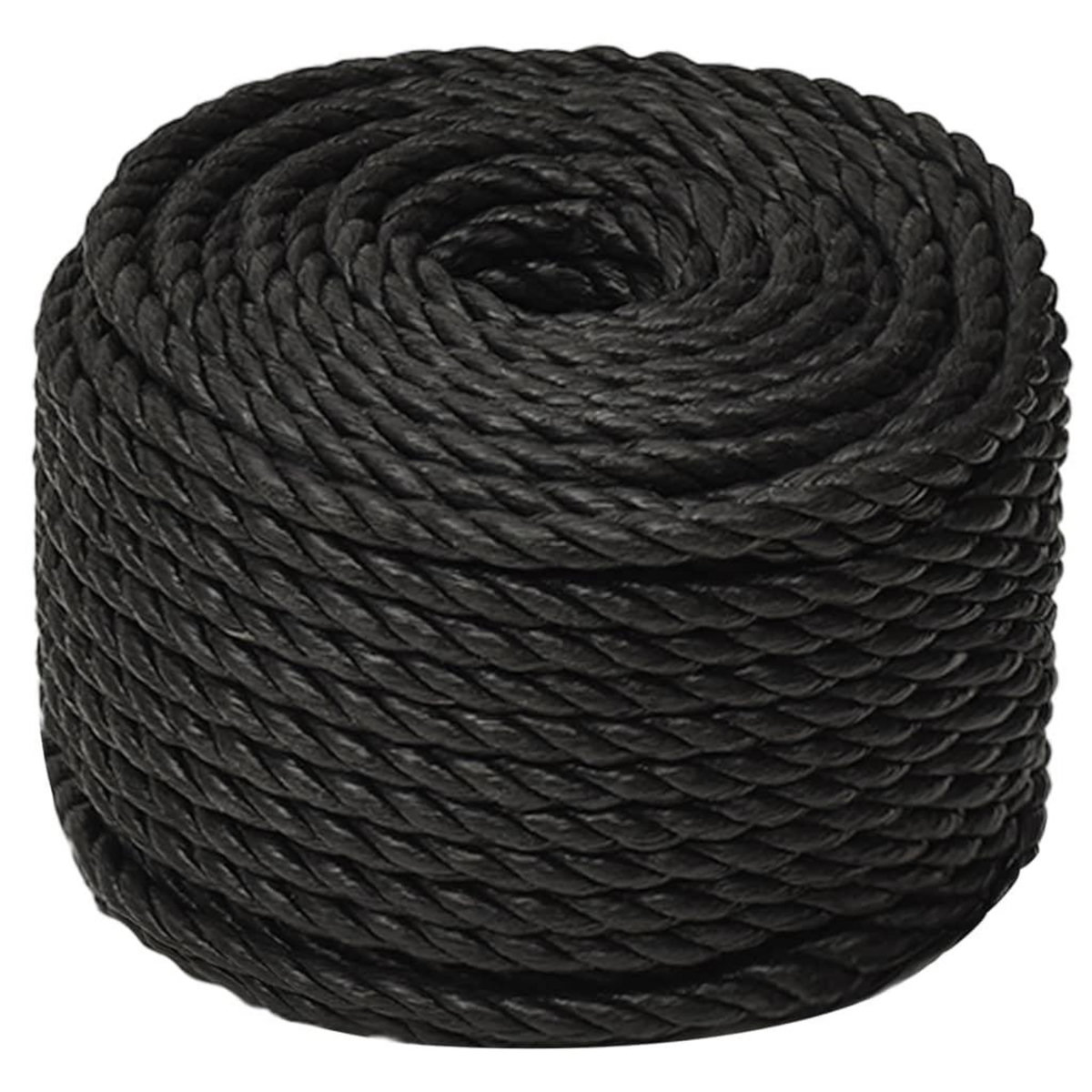 VIDAXL Corde de travail Noir 10 mm 250 m polypropylene