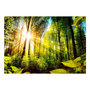 Voir la diapositive 2 : Paris Prix Papier Peint  Forest Hideout