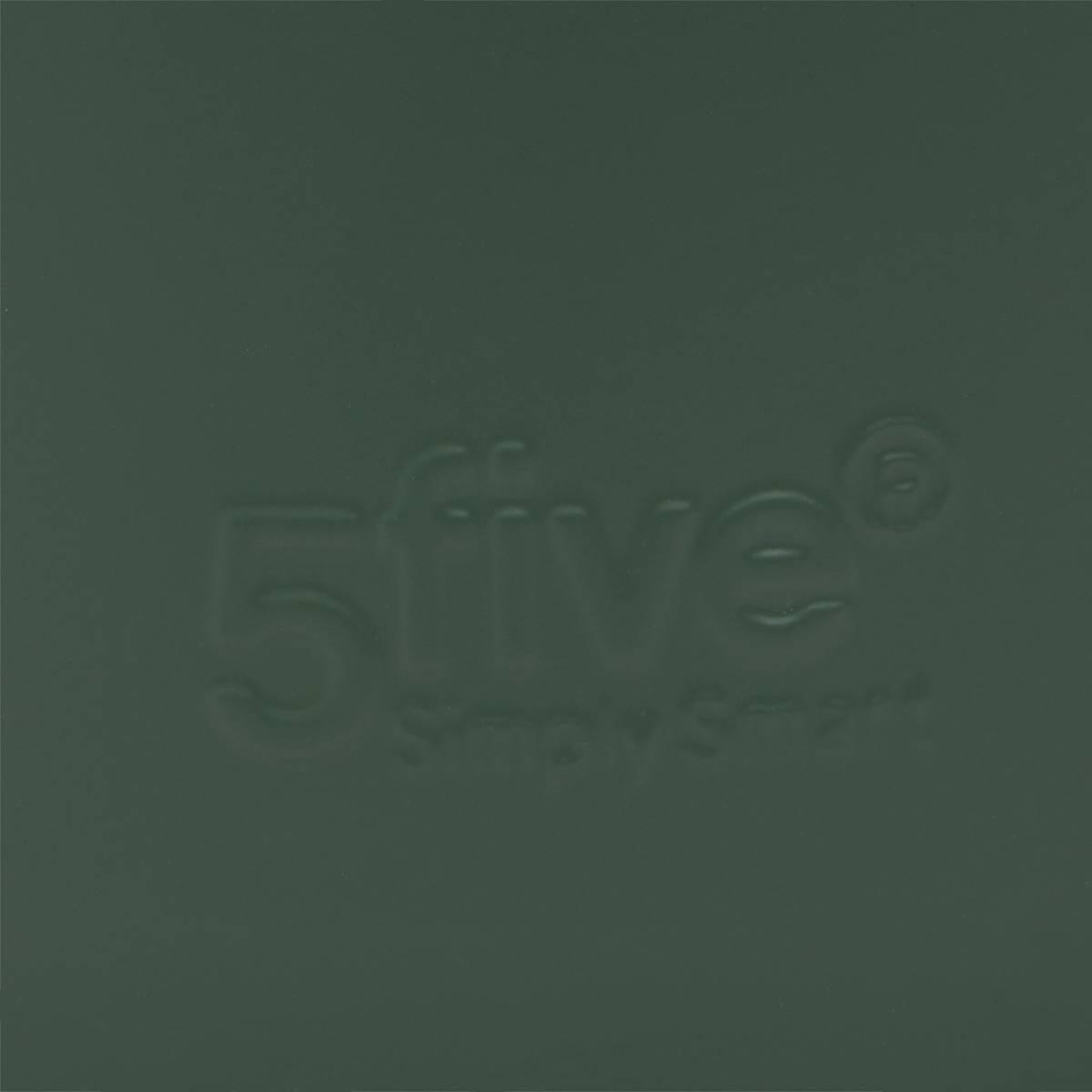 Voir la diapositive 5 : FIVE Dérouleur papier toilette  flexible  60cm vert ficus