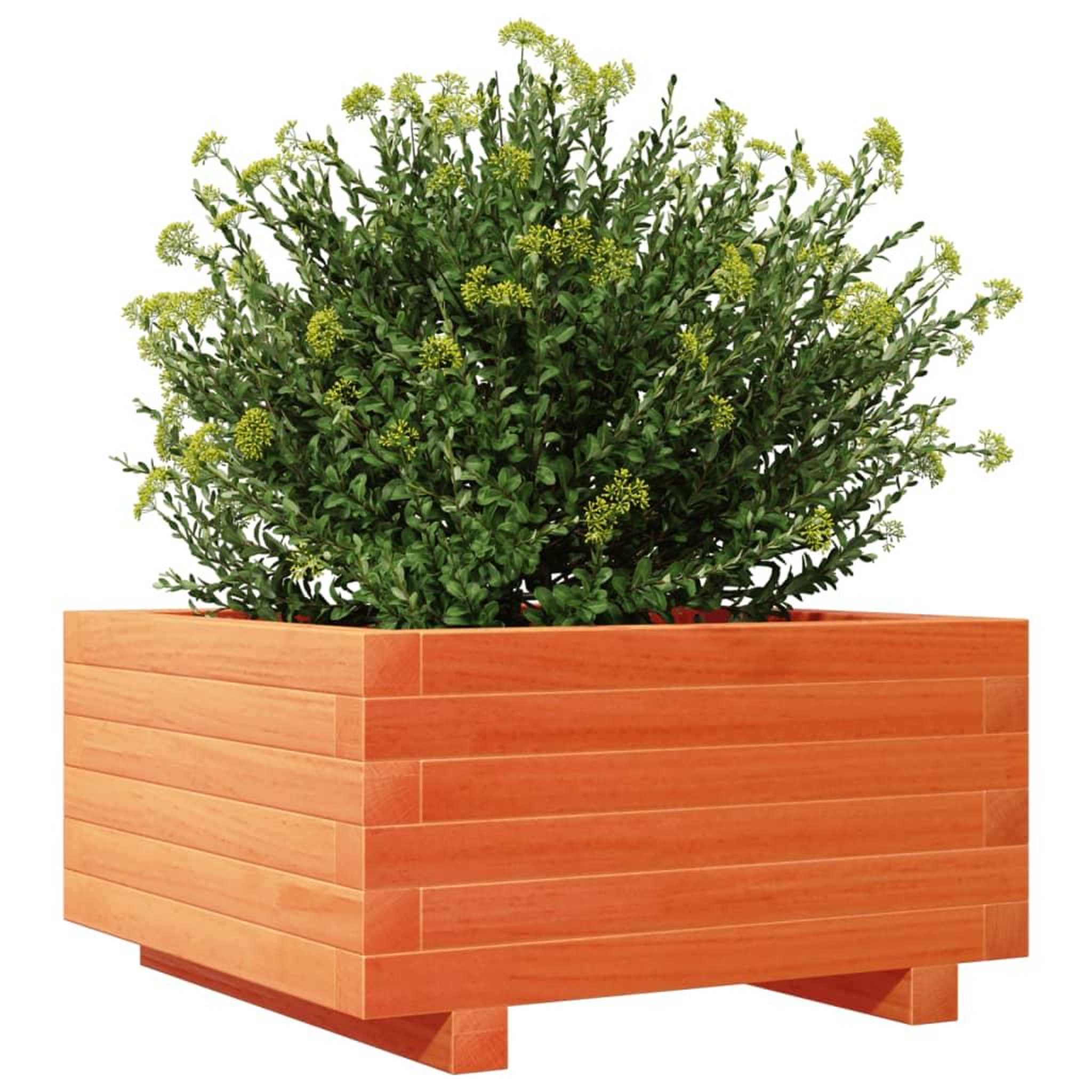 Voir la diapositive 4 : VIDAXL Jardiniere cire marron 50x50x26,5 cm bois de pin massif