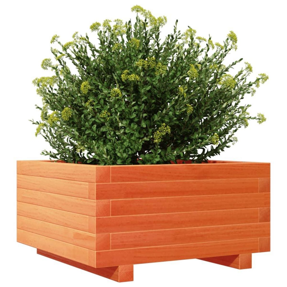 VIDAXL Jardiniere cire marron 50x50x26,5 cm bois de pin massif
