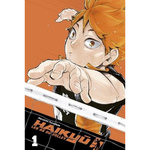 HAIKYU !! LES AS DU VOLLEY - SMASH EDITION TOME 1 : LE RENOUVEAU DU CLUB DE VOLLEY DU LYCEE KARASUNO, Furudate Haruichi