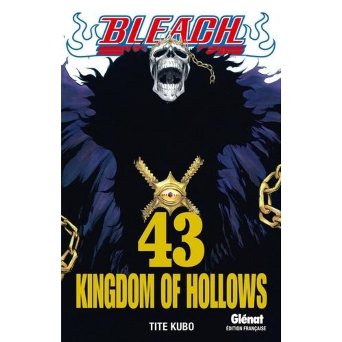 BLEACH TOME 43, Kubo Tite