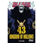 BLEACH TOME 43, Kubo Tite