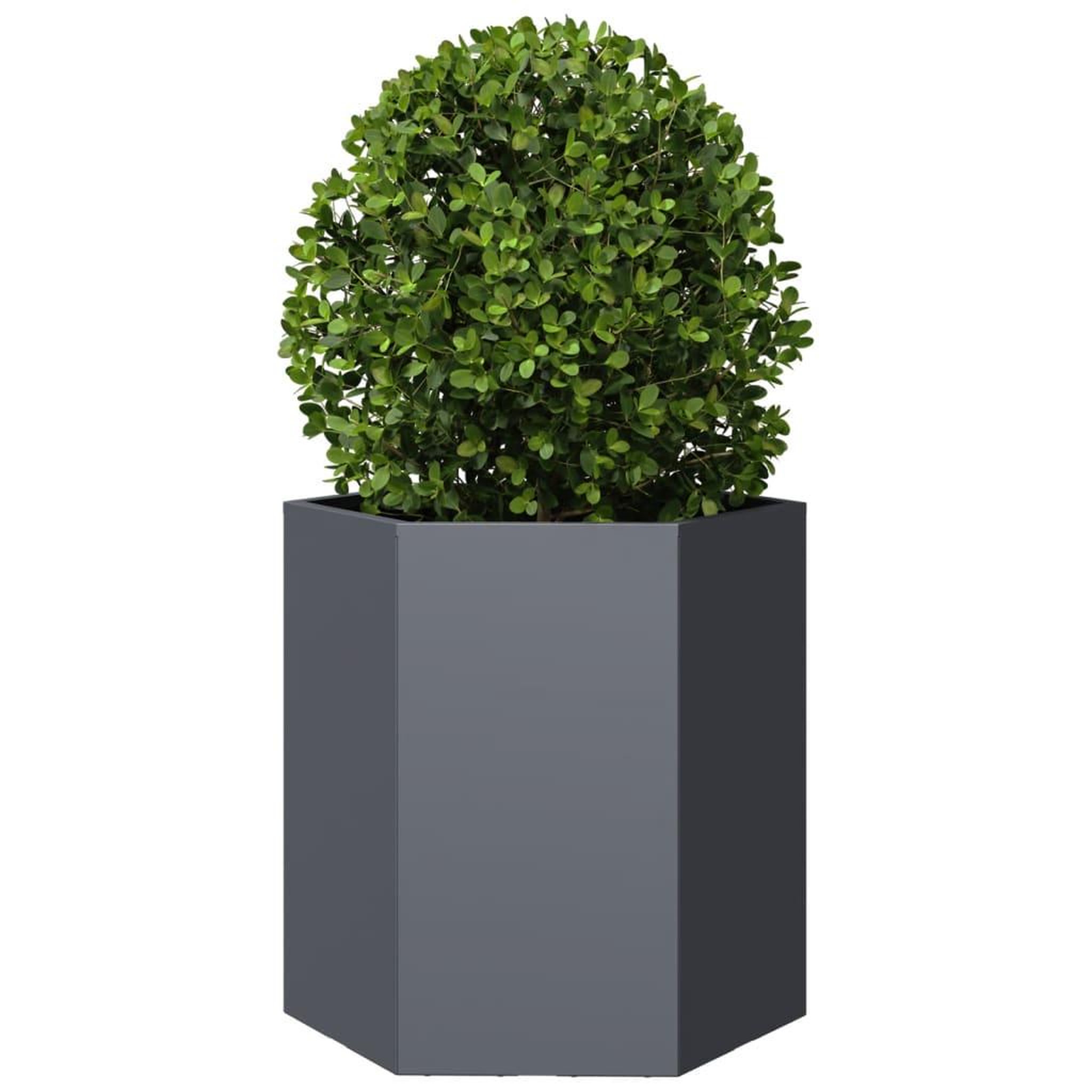 Voir la diapositive 5 : VIDAXL Jardinieres 2 pcs anthracite hexagone 46x40x45 cm acier