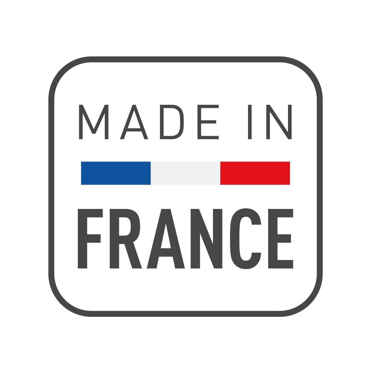 TEFAL Raclette inox & design RE458812