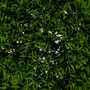 Voir la diapositive 2 : ATMOSPHERA Boule d'Herbe Artificielle  Carly  27cm Vert