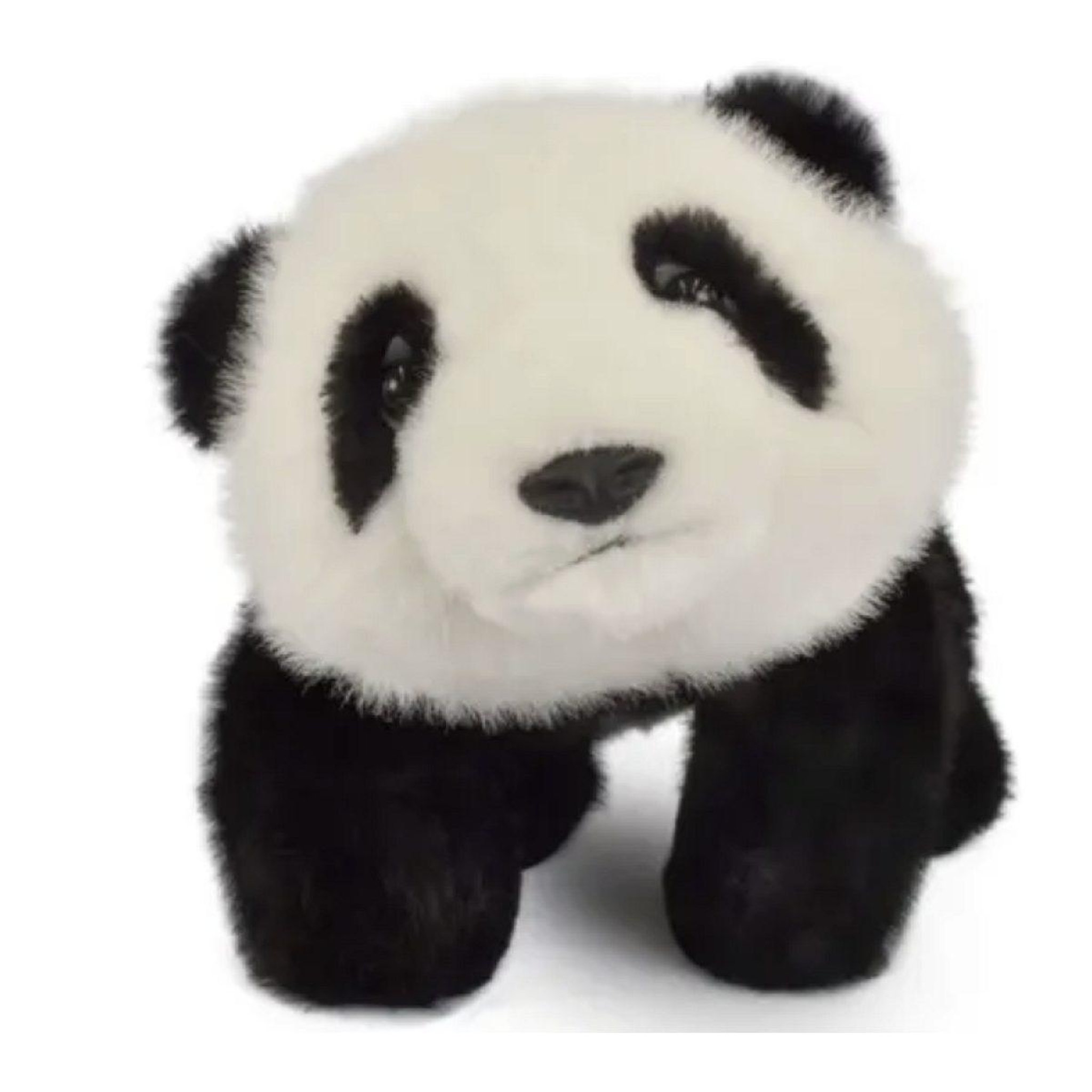 Histoire D'Ours Peluche - bao le panda allonge