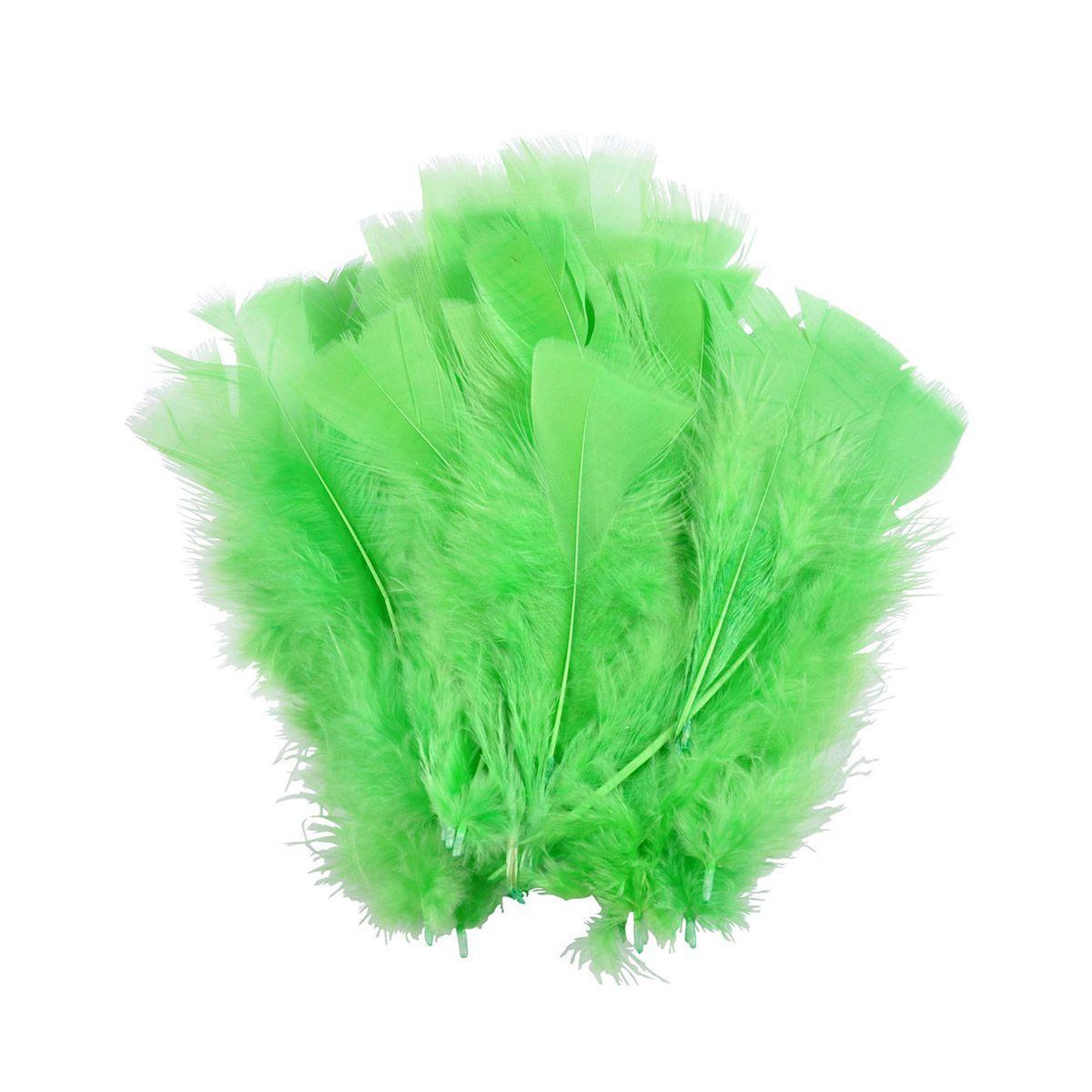 HOMEA Lot de 35 Plumes Décoratives  Sensa  16cm Vert