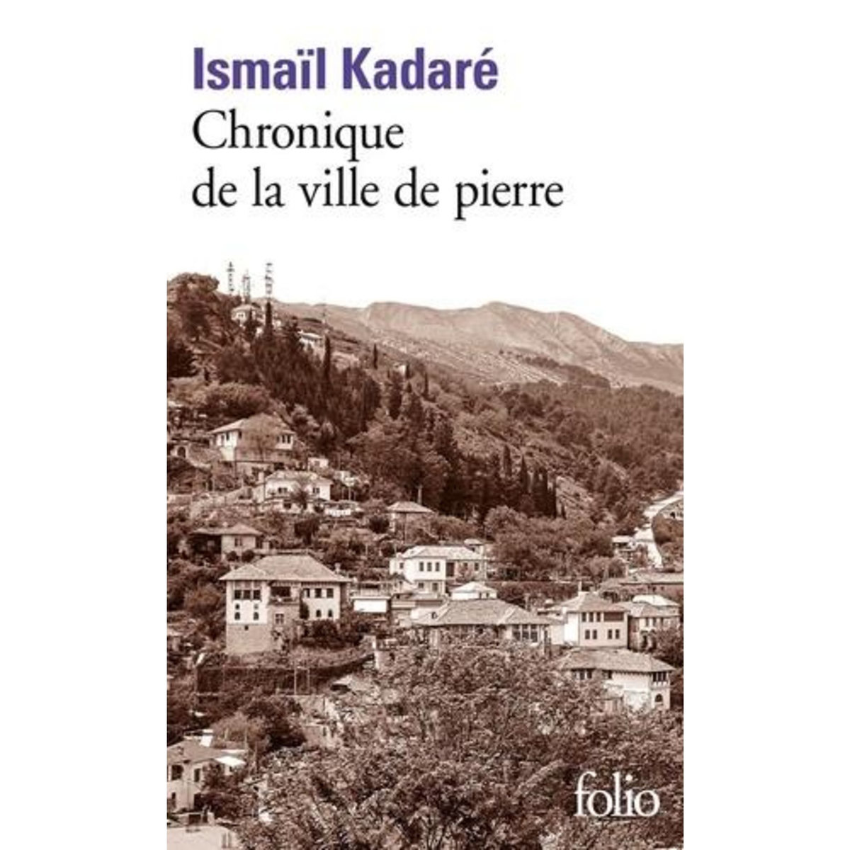 CHRONIQUE DE LA VILLE DE PIERRE, Kadaré Ismaïl