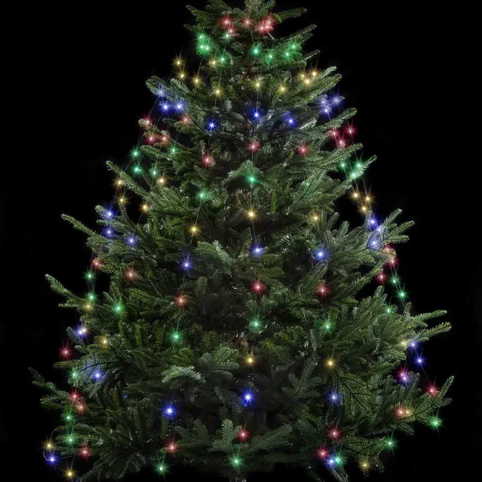 FEERIC LIGHT & CHRISTMAS Guirlande lumineuse extérieur  robe  220cm multicolore