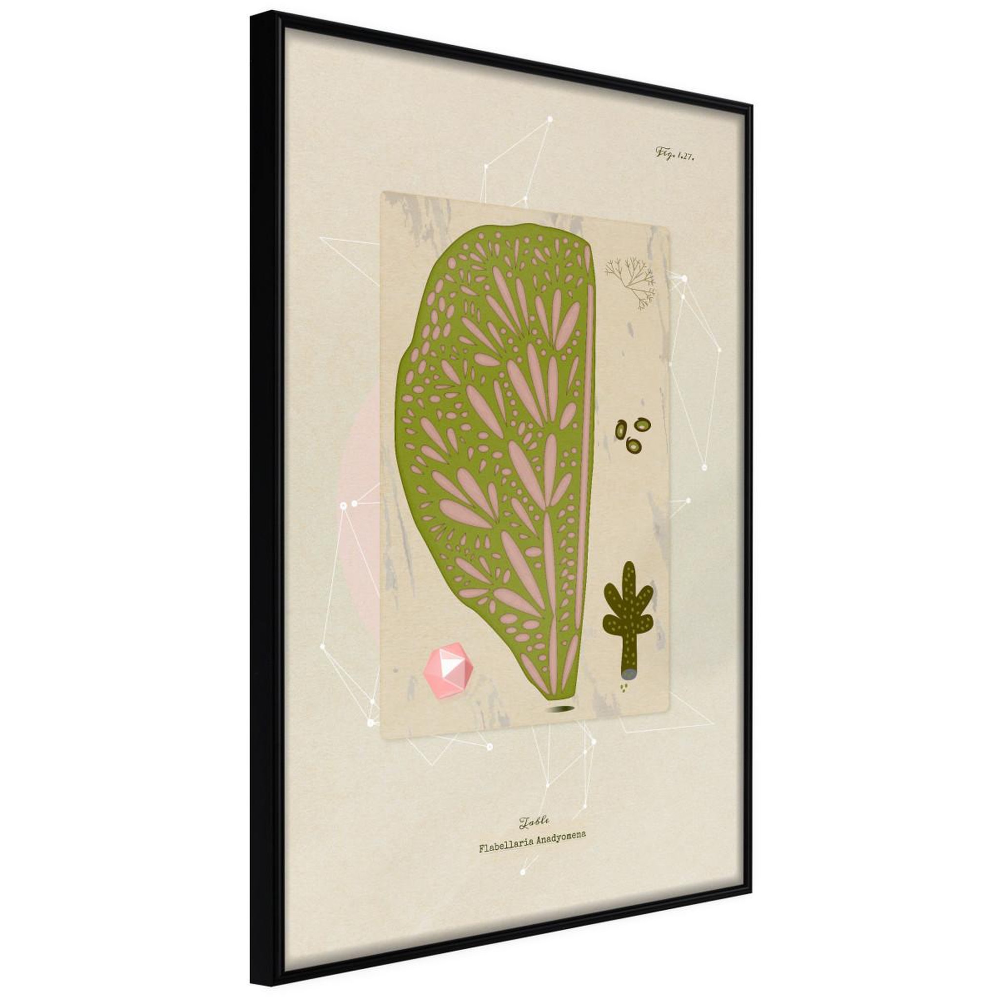 Paris Prix Affiche murale encadrée  cross section of a leaf