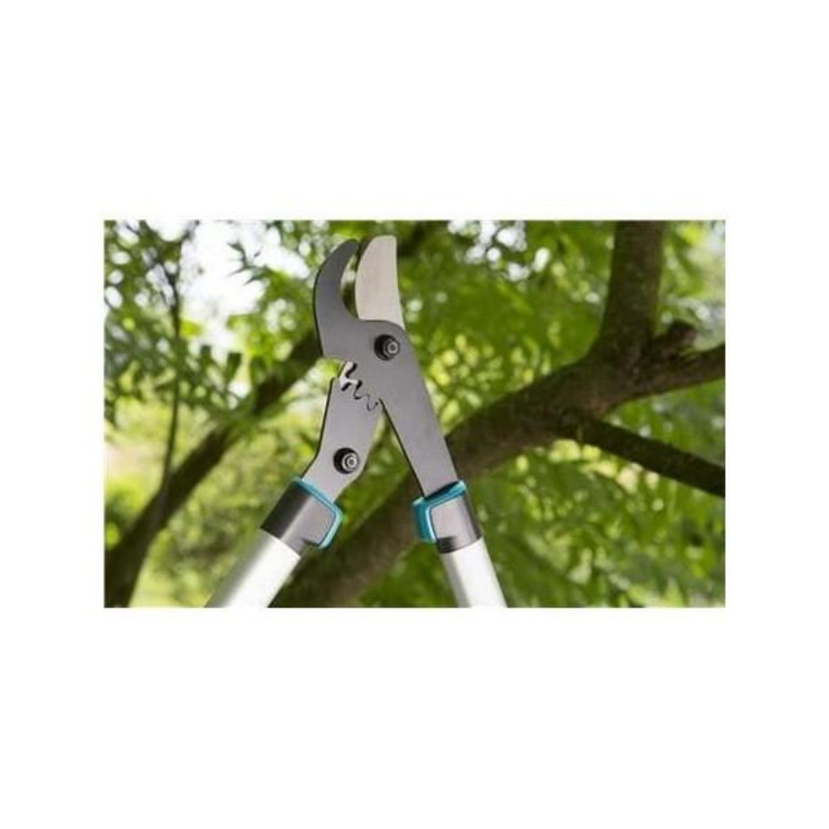 Gardena Coupe-branches GARDENA EnergyCut 750 B - lame franche - coupe Ø42mm max - anti-adhérence - garantie 25 ans