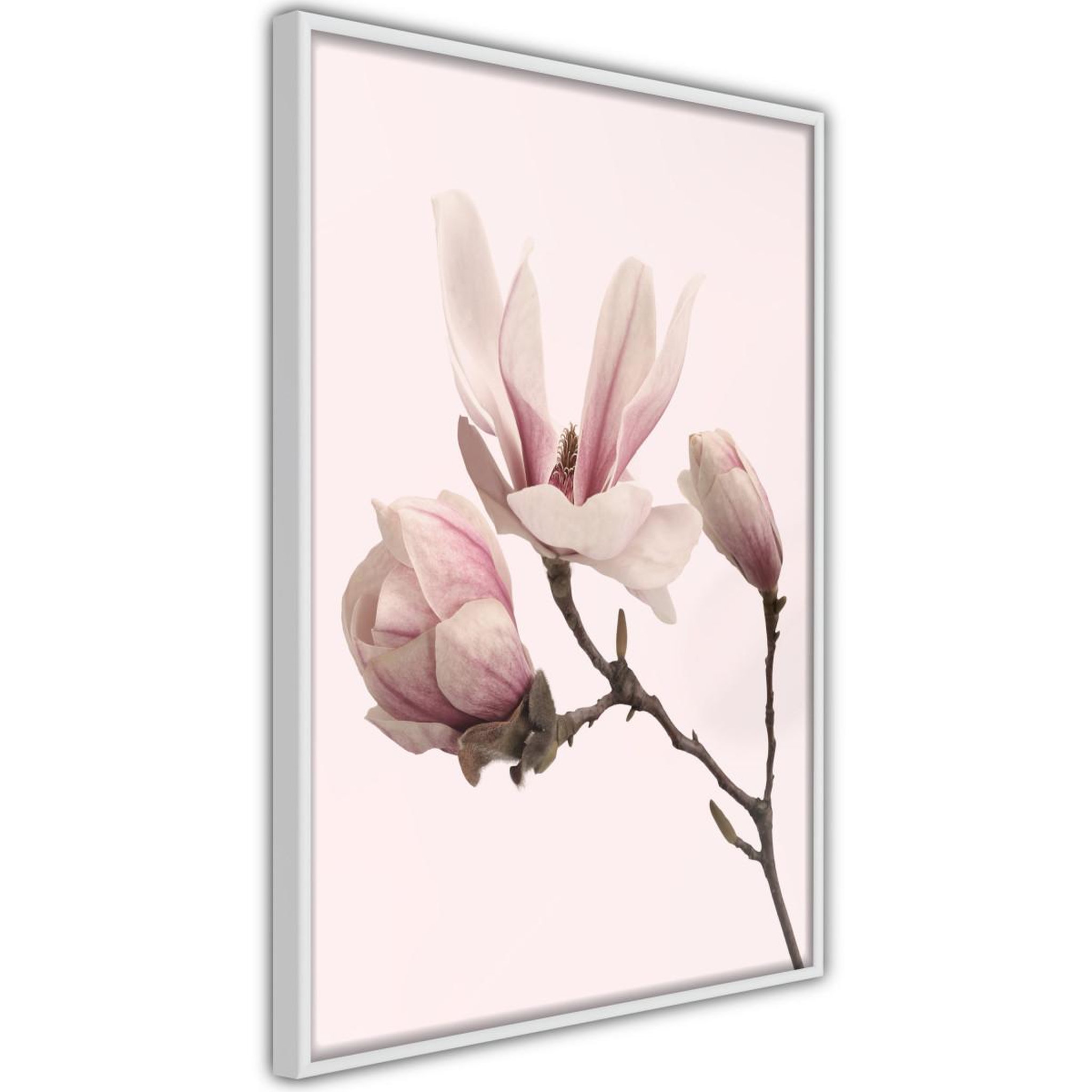 Paris Prix Affiche Murale Encadrée  Blooming Magnolias II