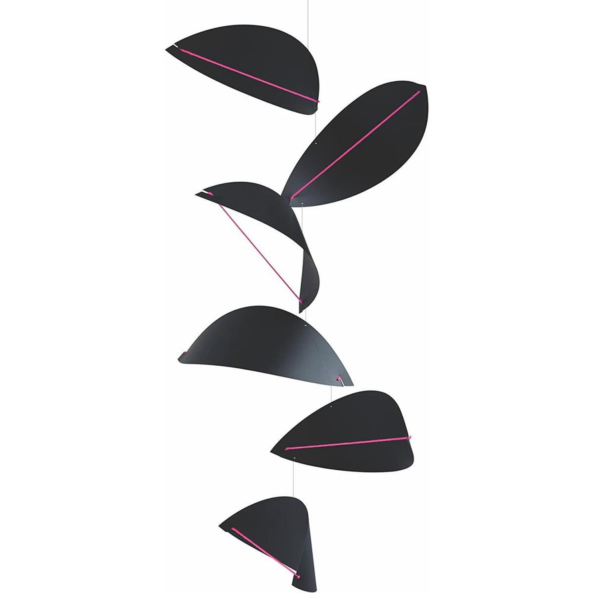 Voir la diapositive 1 : Flensted Cerf Volant Noir