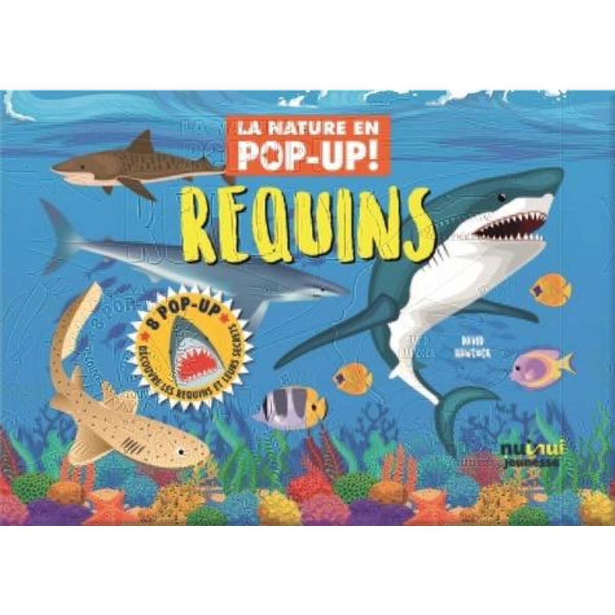 REQUINS, Hawcock David