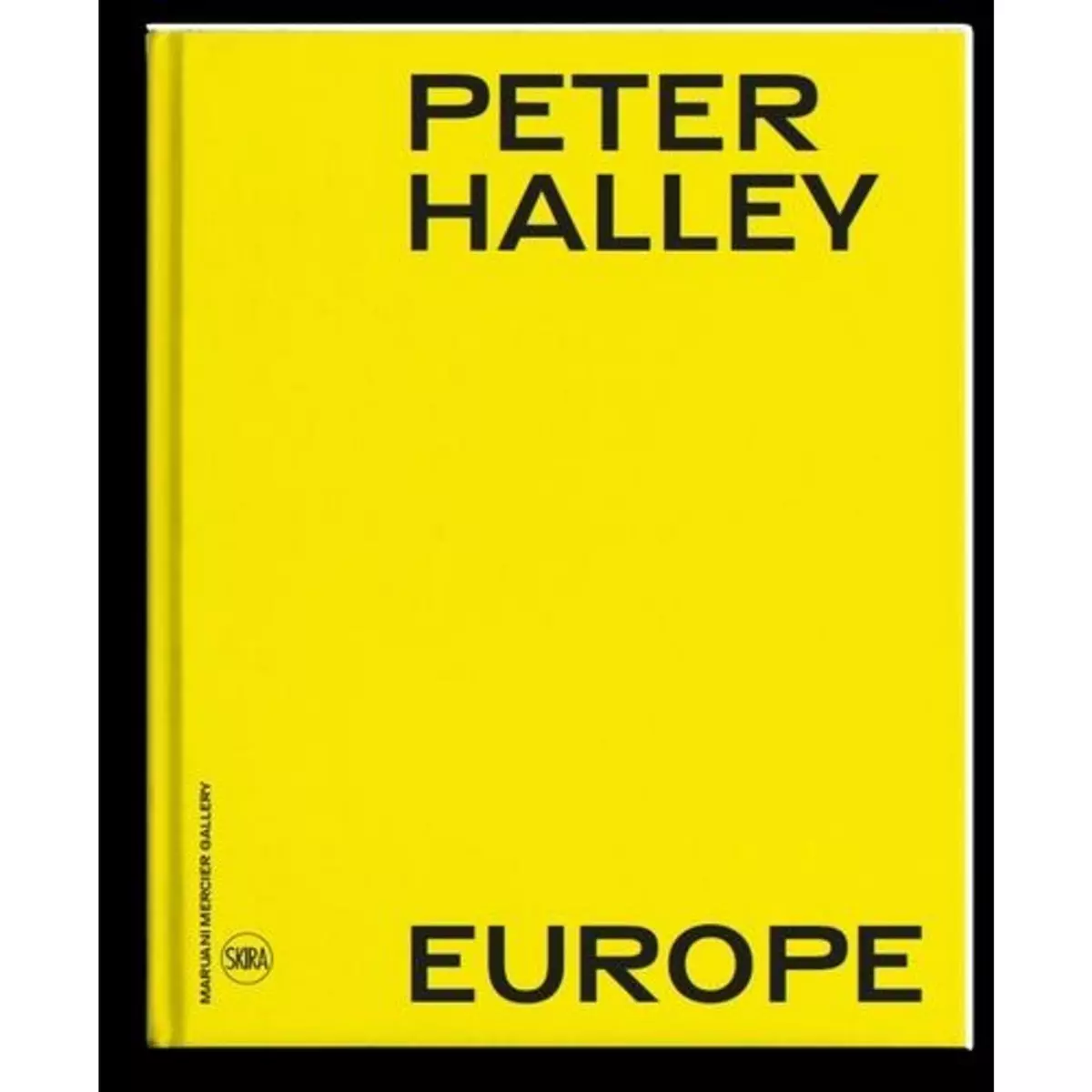  PETER HALLEY. EUROPE, EDITION BILINGUE FRANCAIS-ANGLAIS, Orgeval Domitille d'