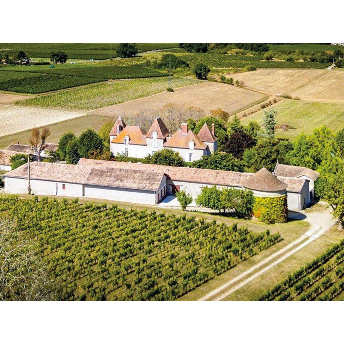 Smartbox Visite et dégustation de vin pour 1 ou 2 personnes - Coffret Cadeau Gastronomie