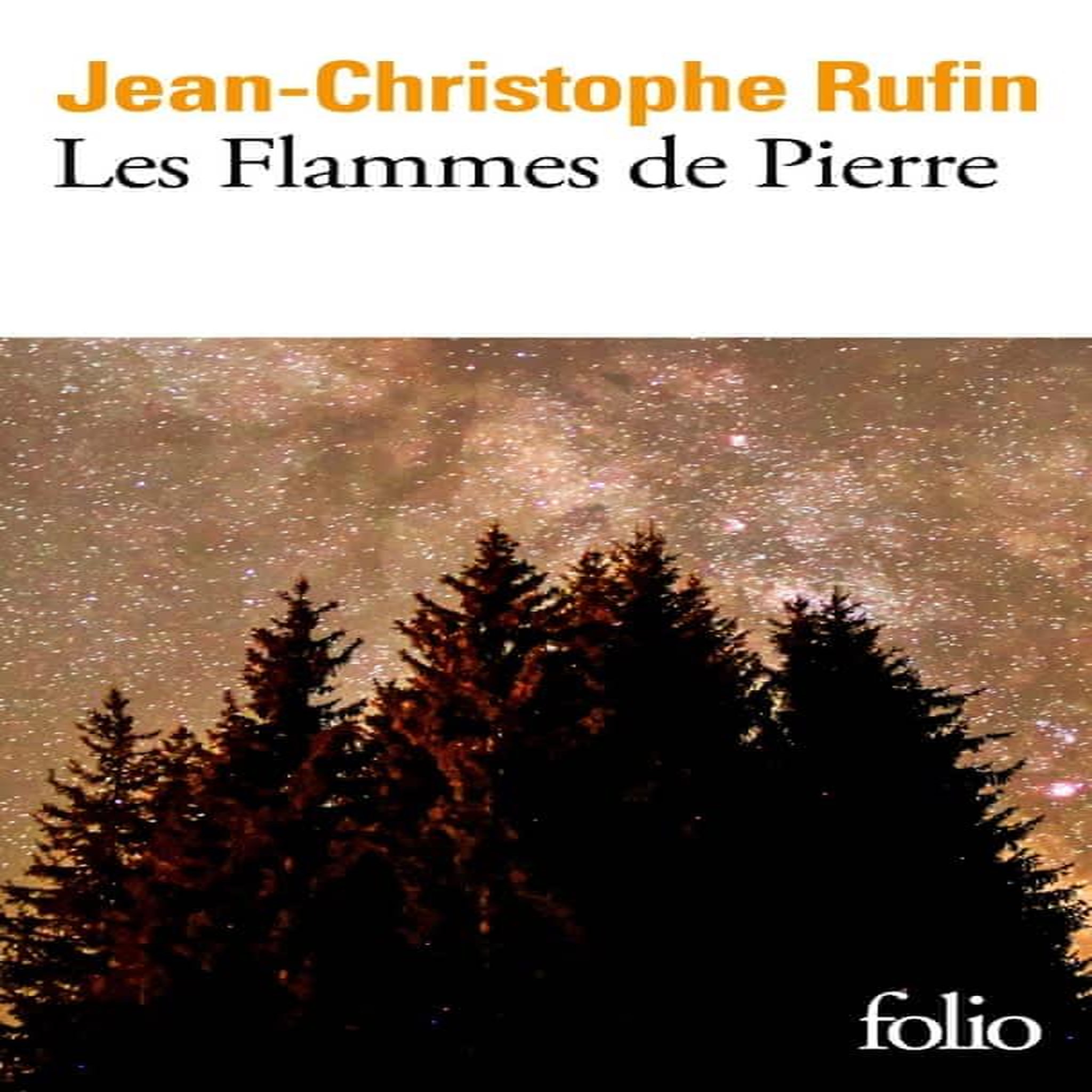 LES FLAMMES DE PIERRE, Rufin Jean-Christophe