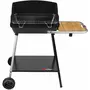 Somagic Barbecue charbon - Fonte - 51x37cm - EXCEL DUO GRILL