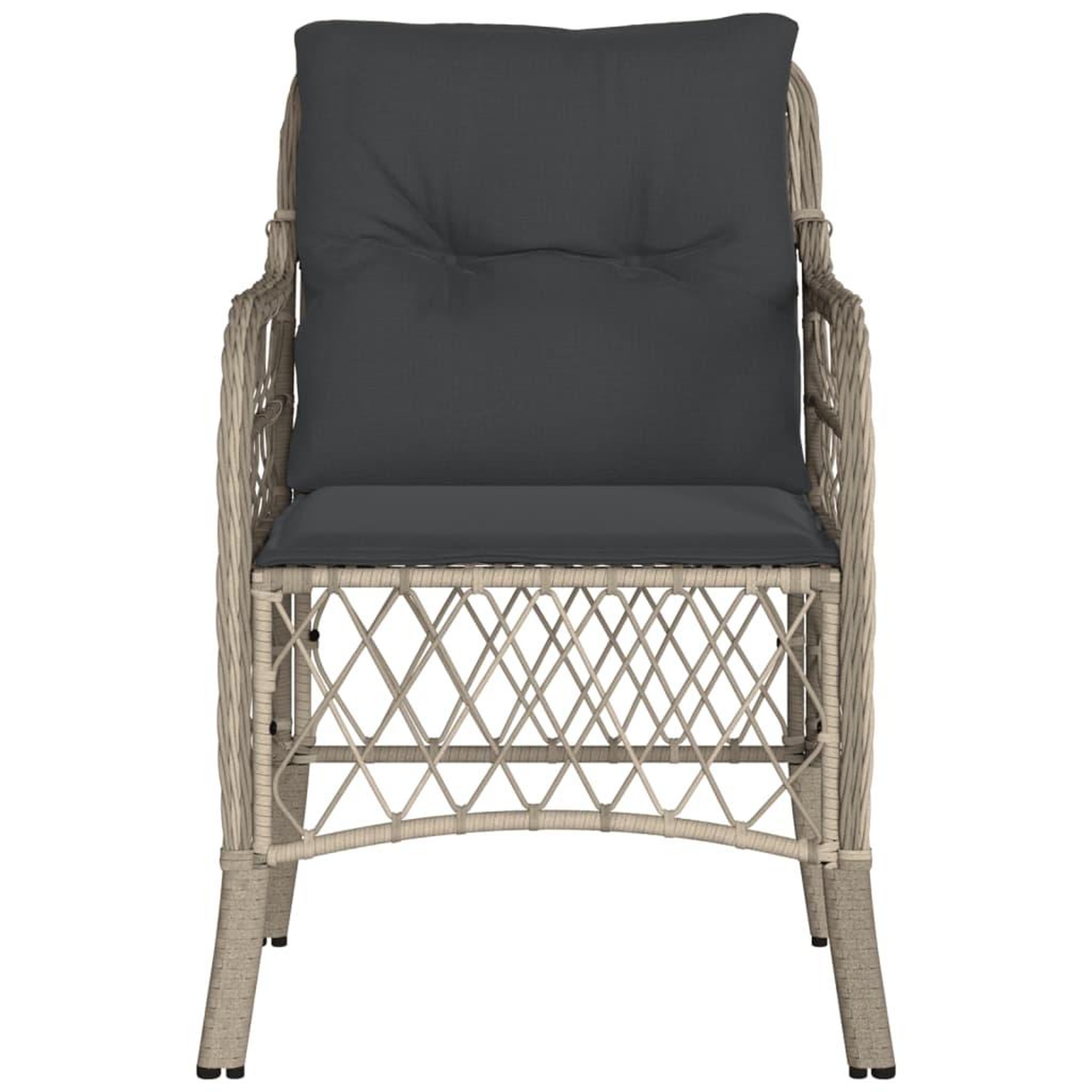 Voir la diapositive 5 : VIDAXL Chaises de jardin coussins lot de 2 gris clair resine tressee