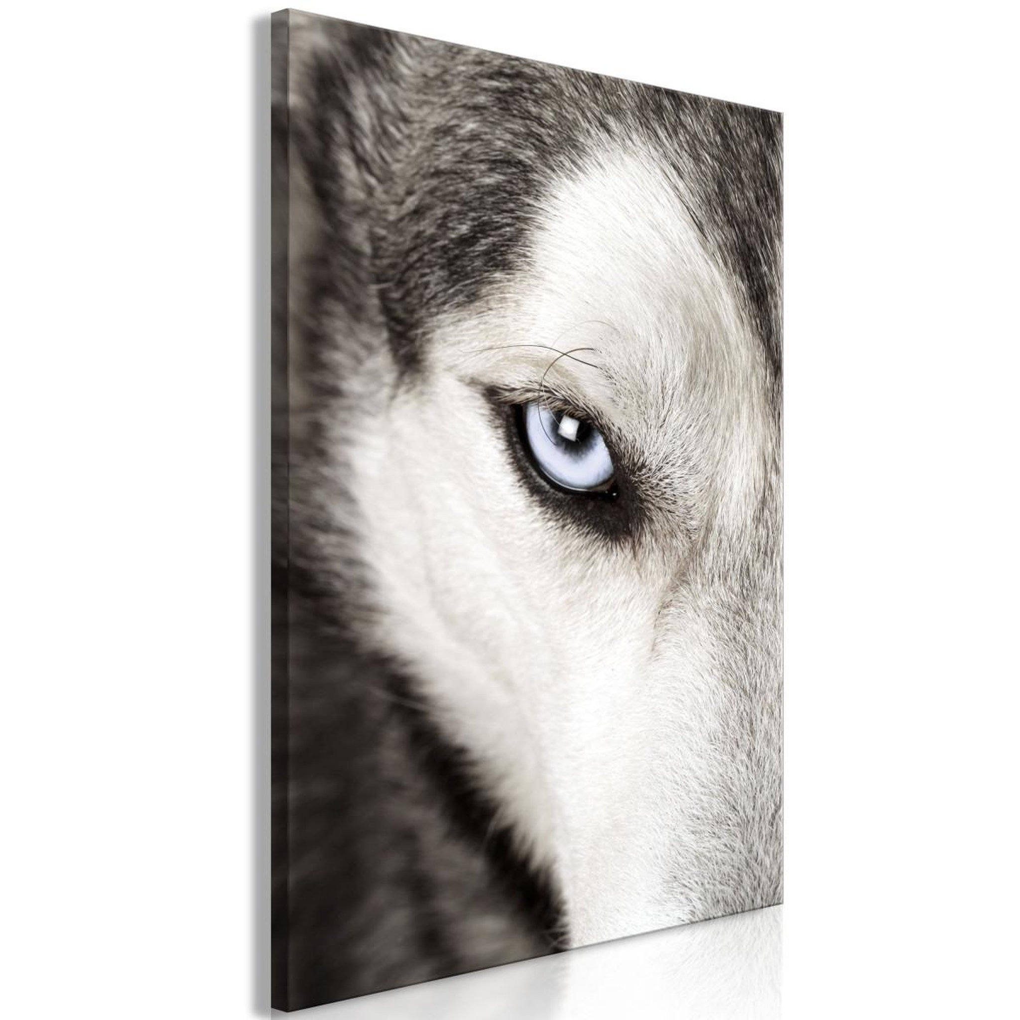 Voir la diapositive 1 : Paris Prix Tableau imprimé  dog's look