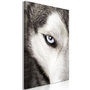 Voir la diapositive 1 : Paris Prix Tableau Imprimé  Dog's Look