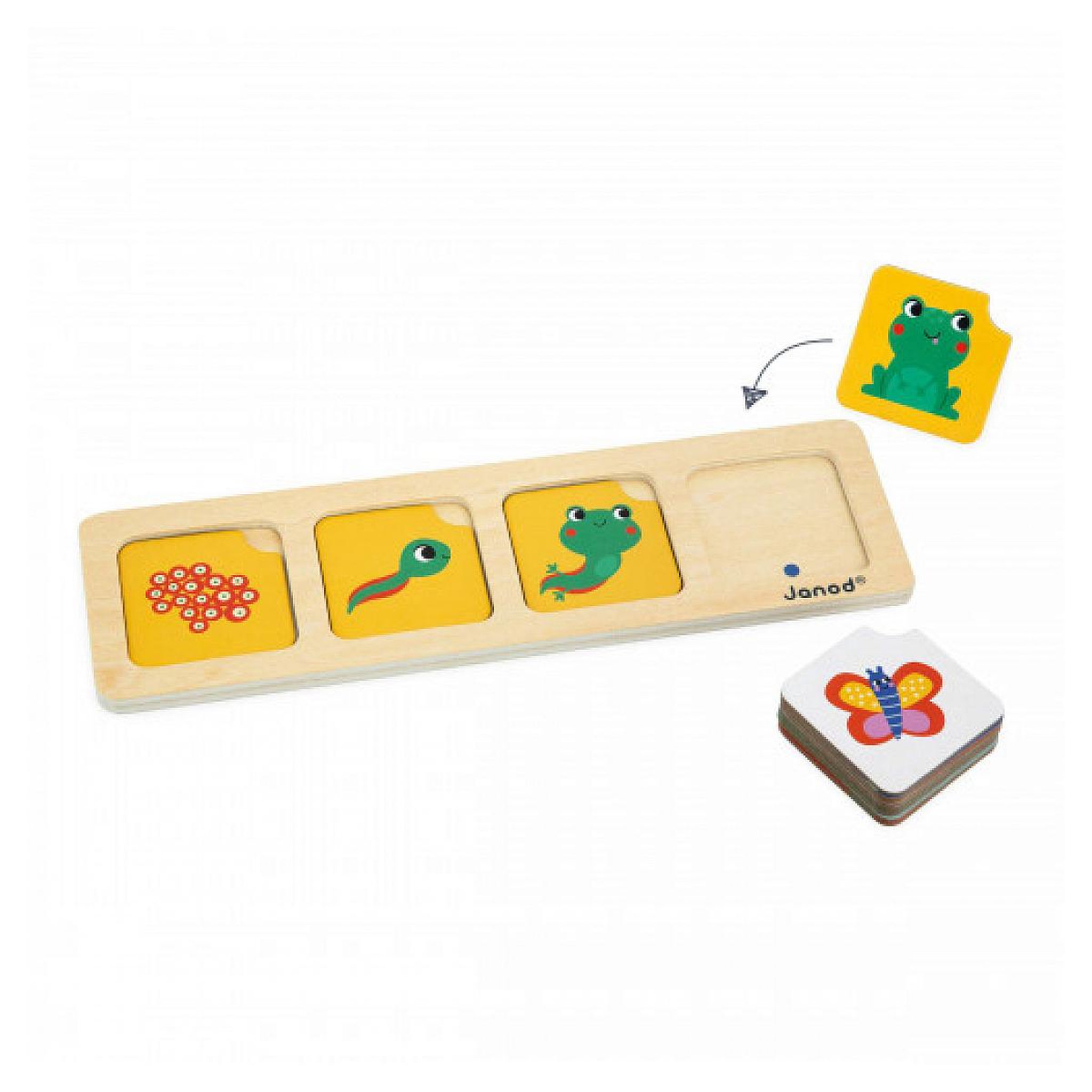 JANOD Cartes sequences - Le jardin