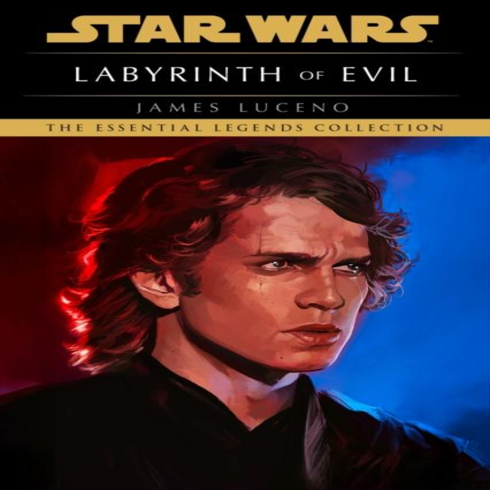 LIVRES Star Wars: Labyrinth of Evil