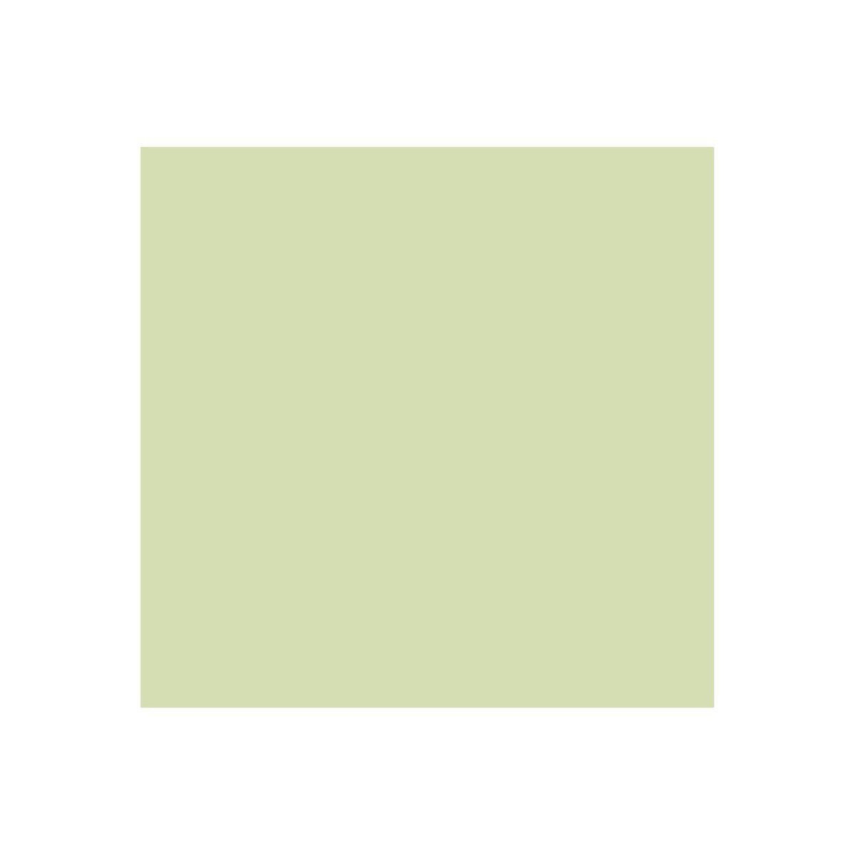 CRICUT Accessoire Glow in the dark Iron-On 30x60cm 1 sheet