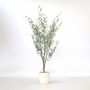 Voir la diapositive 6 : PLANT IN A BOX Olivier artificiel - Hauteur 150cm