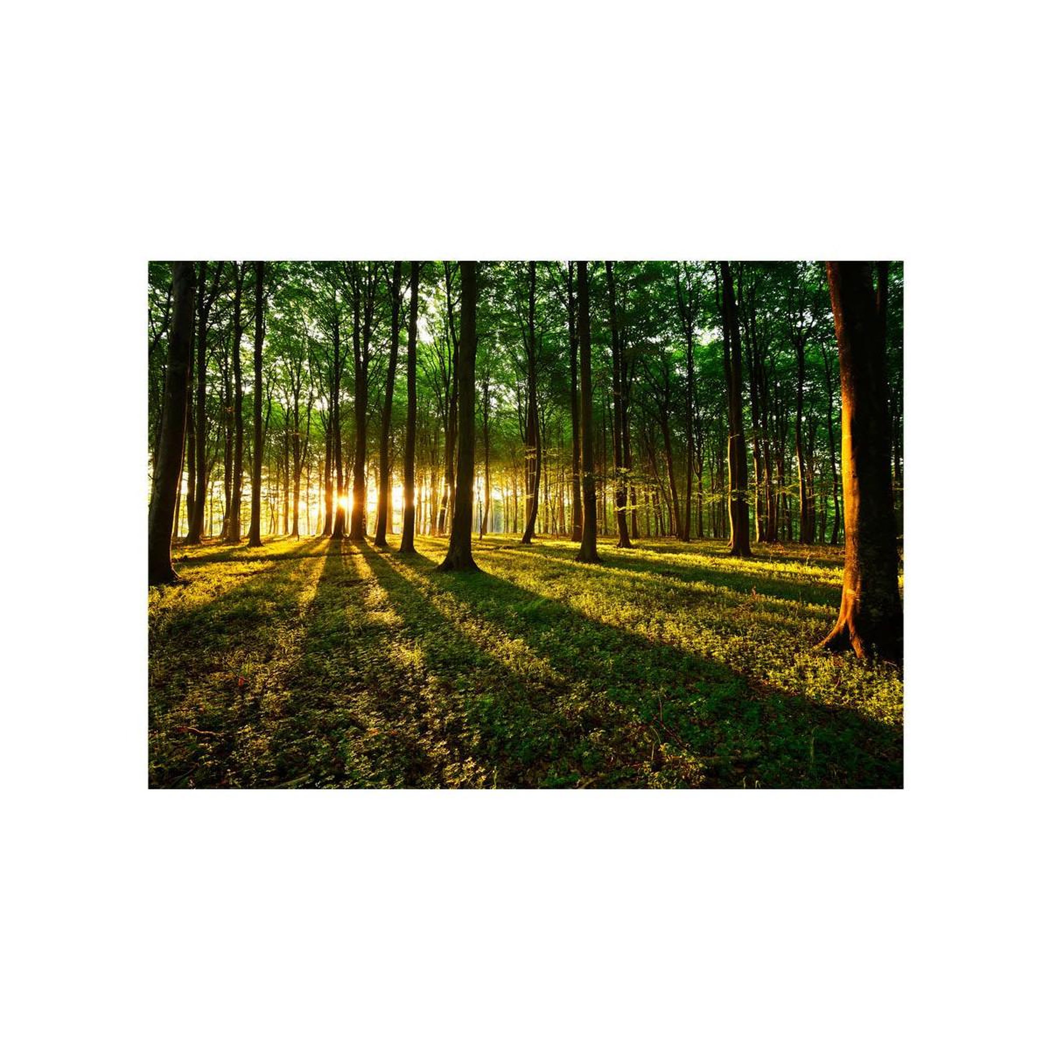 Voir la diapositive 2 : Paris Prix Papier peint  mystical morning