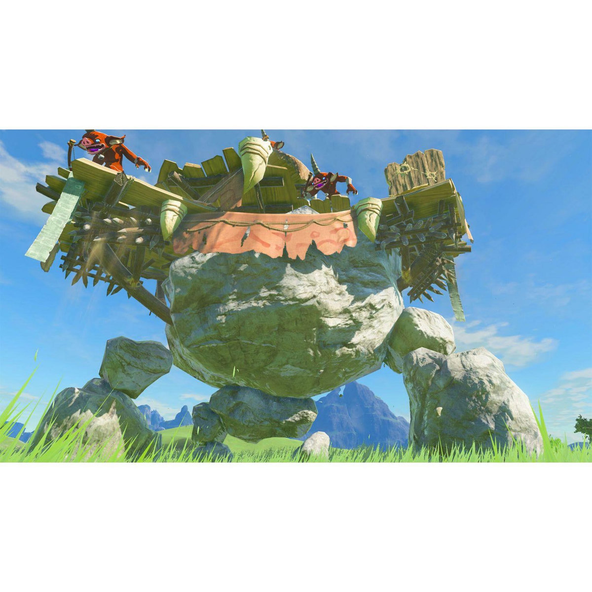 NINTENDO Legend of Zelda : Tears of Kingdom Collector Nintendo Switch