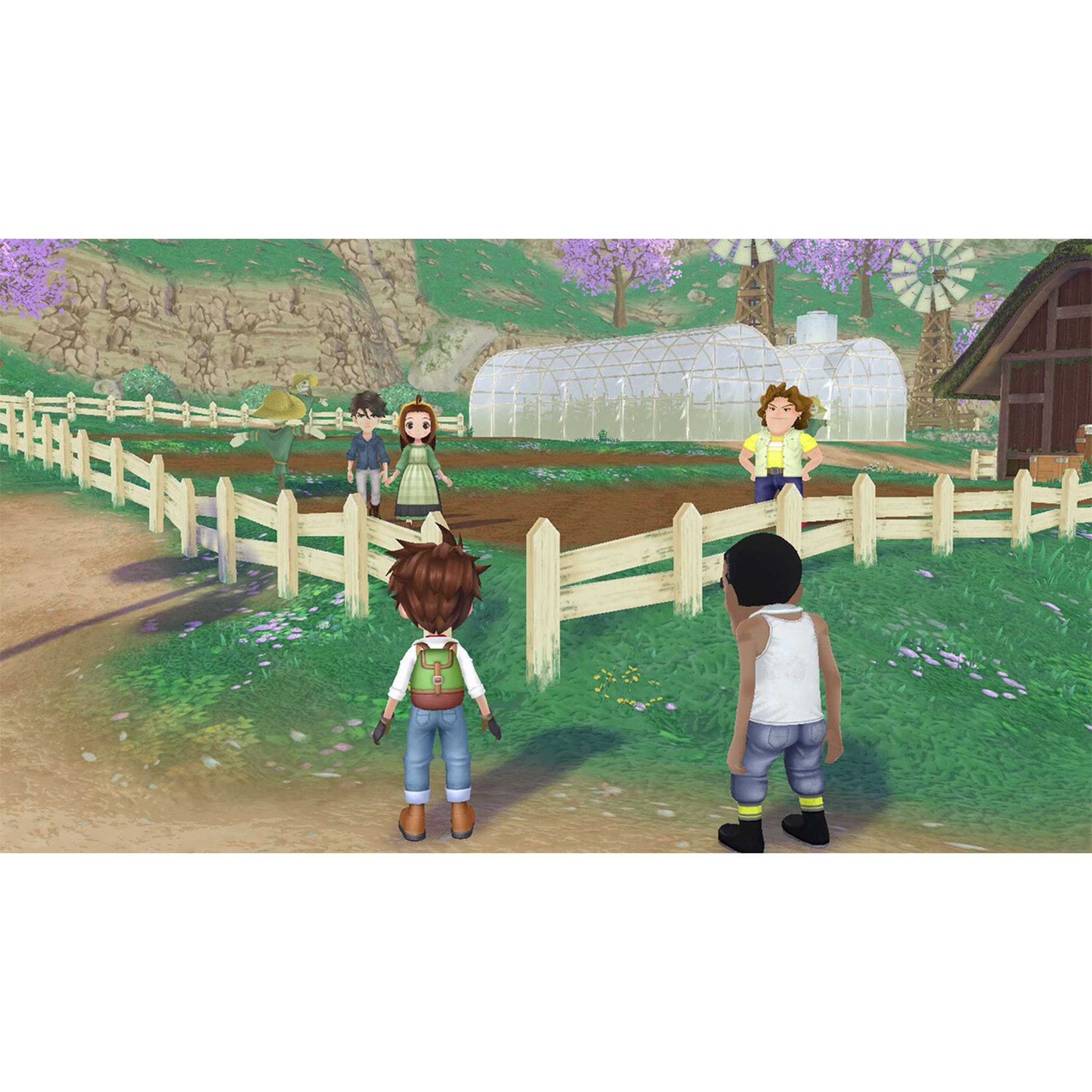 Voir la diapositive 5 : Story Of Seasons : A Wonderful Life Nintendo Switch