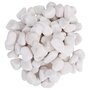 Voir la diapositive 3 : VIDAXL Galets polis 10 kg blanc 2 5 cm