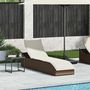 Voir la diapositive 2 : VIDAXL Chaise longue pliante coussin rangement marron resine tressee