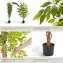 Voir la diapositive 4 : tectake Ficus artificiel design très réaliste vert