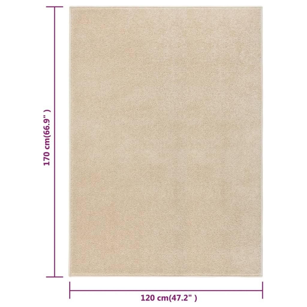VIDAXL Tapis a poils courts 120x170 cm Beige