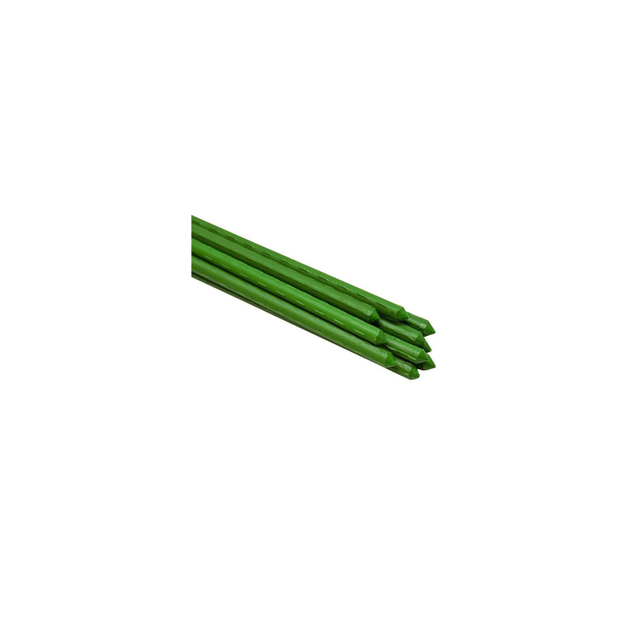 Voir la diapositive 1 : Lot de 10 tuteurs pour plantes et légumes - En fer - Hauteur : 180 cm