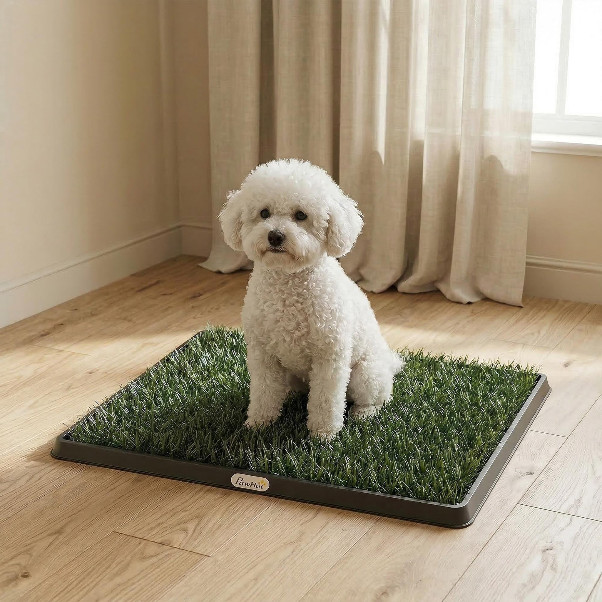 Voir la diapositive 6 : PAWHUT Litière gazon synthétique chien 2 tapis 3 couches dim. 63l x 50l cm