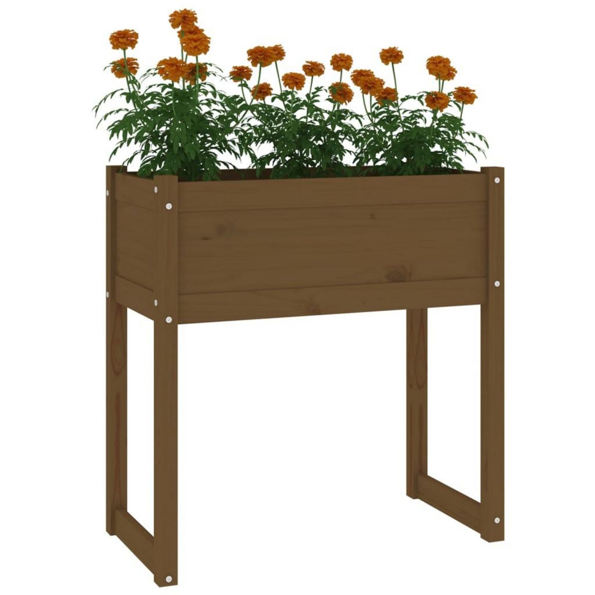 VIDAXL Jardiniere Marron miel 78x40x81 cm Bois massif de pin
