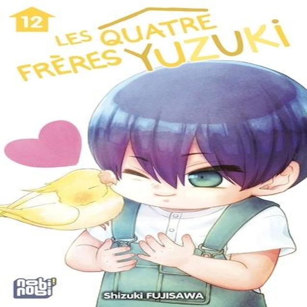 LES QUATRE FRERES YUZUKI TOME 12 , Fujisawa Shizuki