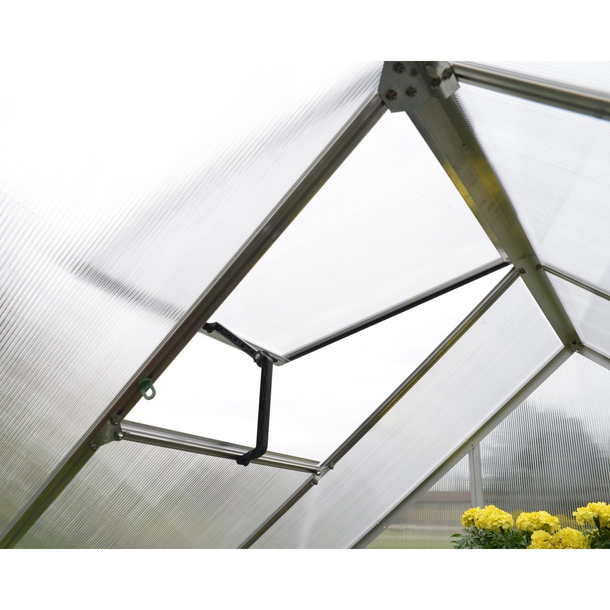 Canopia by PALRAM Serre de jardin - Polycarbonate - 3,4m² - MYTHOS