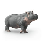 Schleich 14938 Figurine Hippopotame