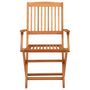 Voir la diapositive 3 : VIDAXL Chaises de jardin pliables lot de 2 Bois d'eucalyptus massif