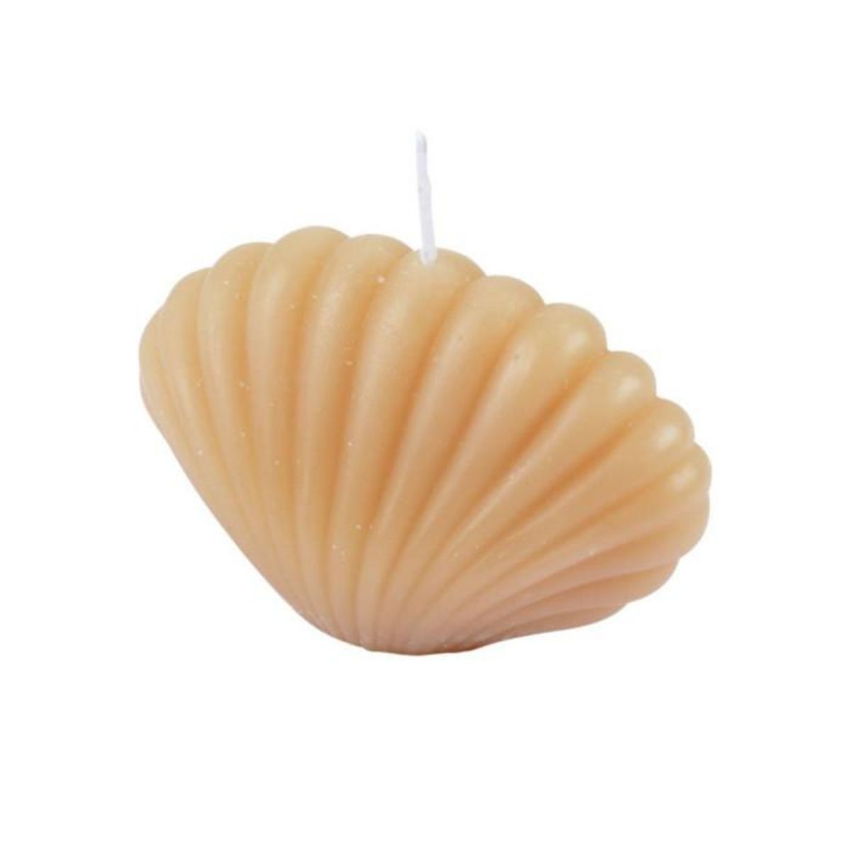 Paris Prix Bougie Déco Coquillage  Arty  9cm Semoule